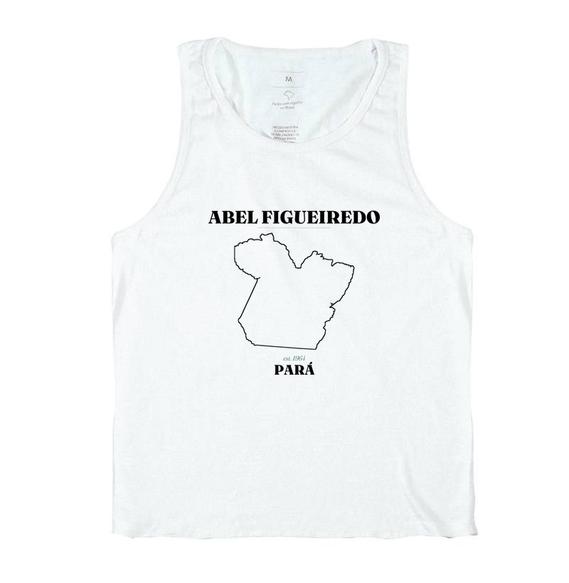 Abel Figueiredo | Legado PA - Imagem 2