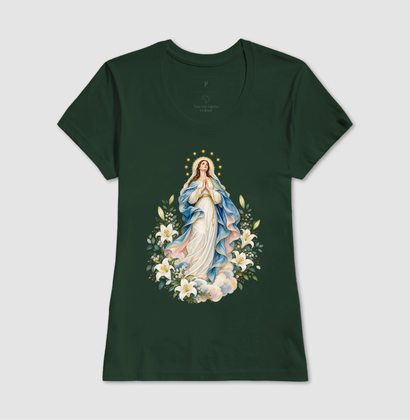 Nossa Senhora entre Flores e Estrelas - Imagem 7