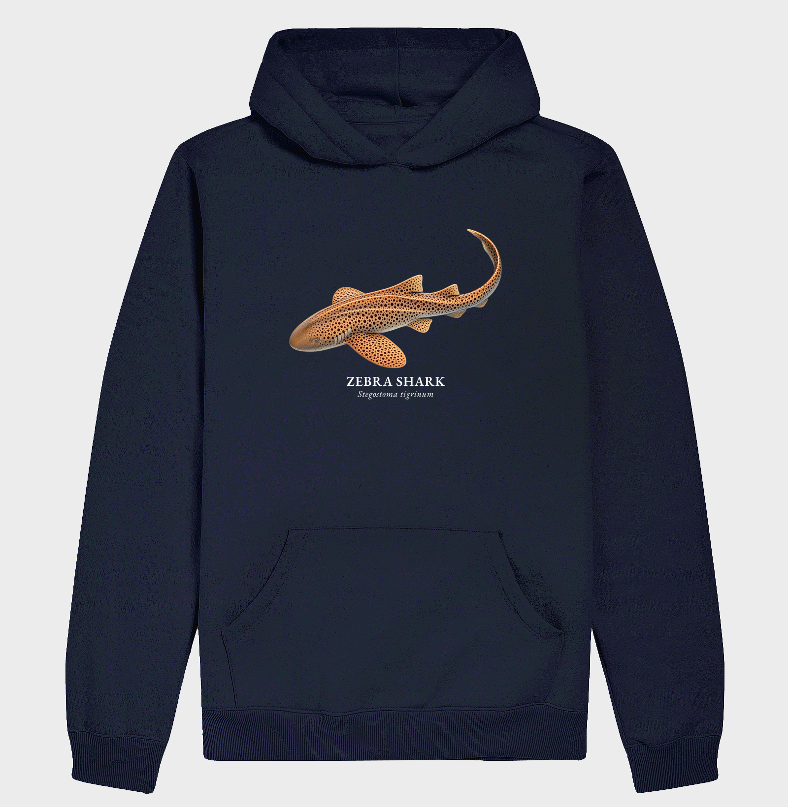 Zebra Shark - Imagem 4
