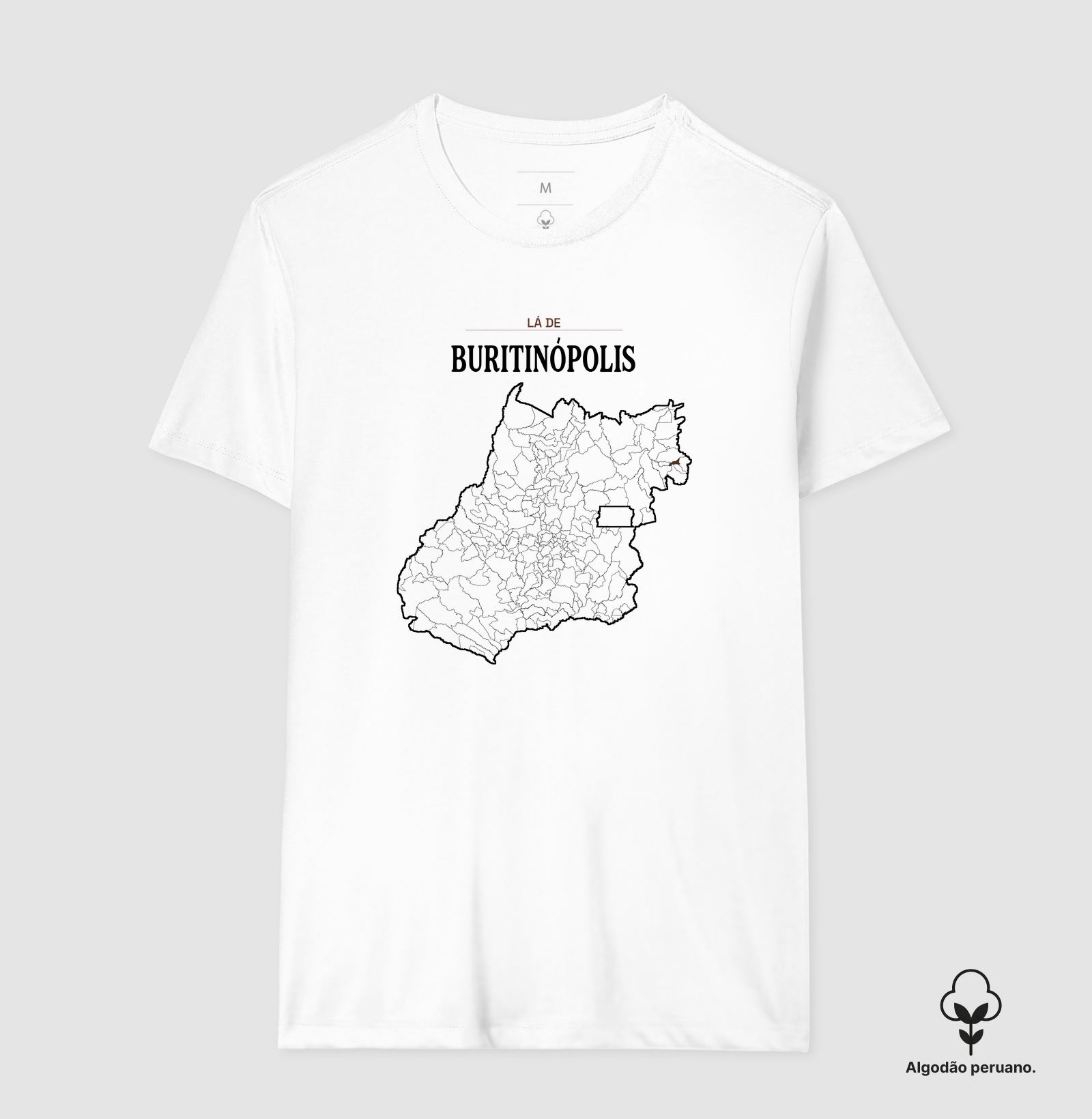 Buritinópolis | Território GO - Imagem 6