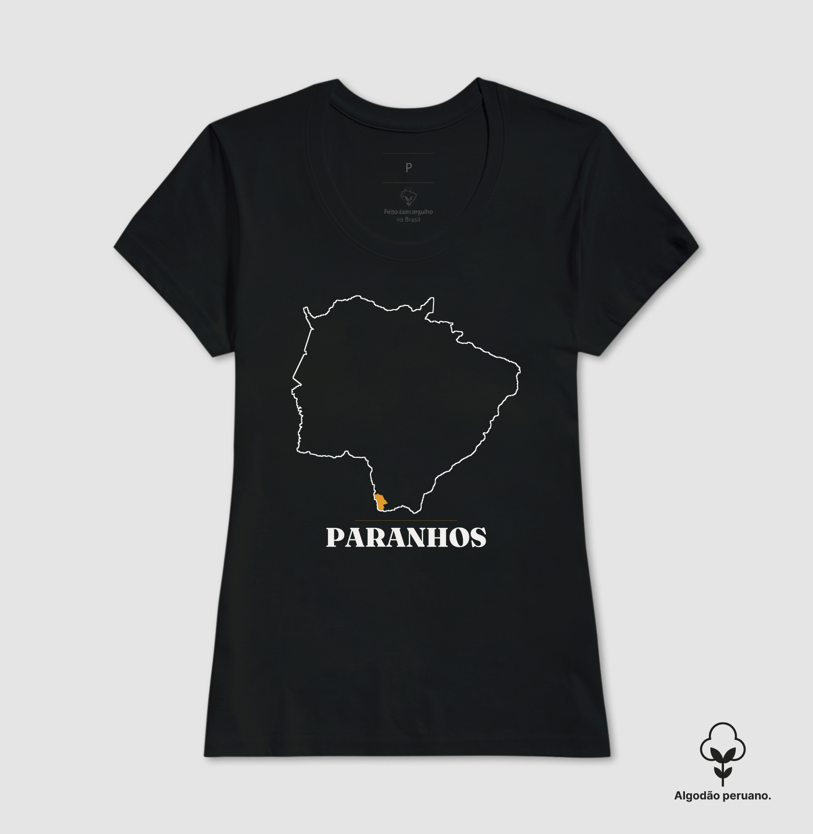 Paranhos | Traço MS - Imagem 3