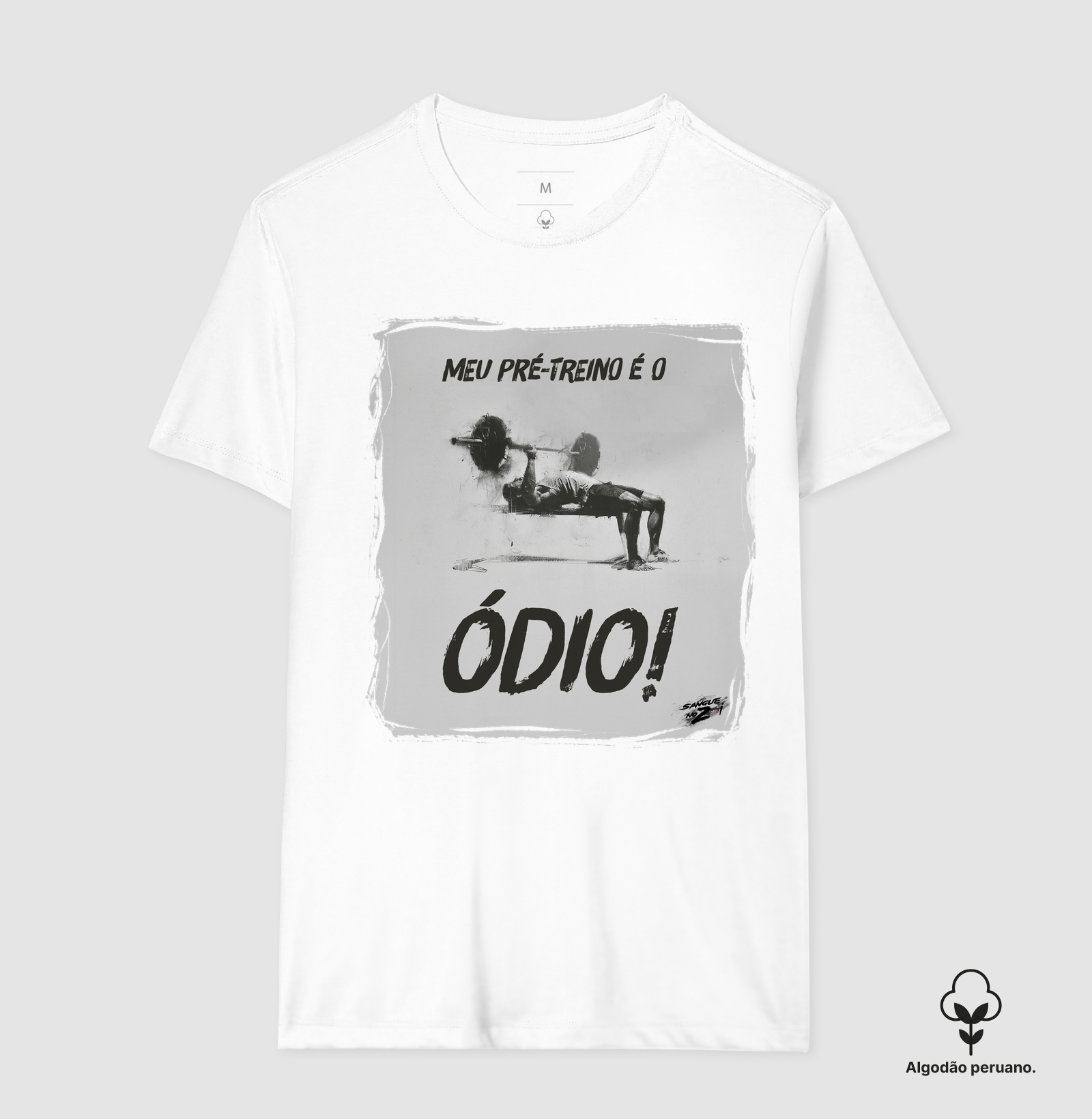 Meu pré-treino é o ódio! - Imagem 7