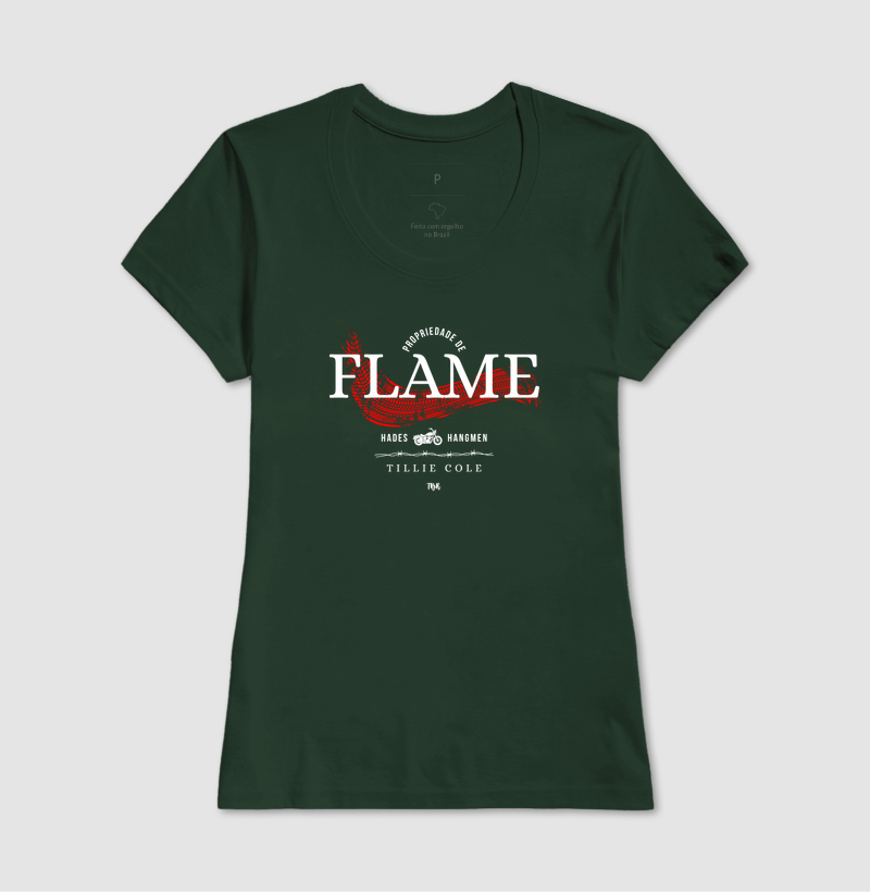 Propriedade de Flame - Imagem 11