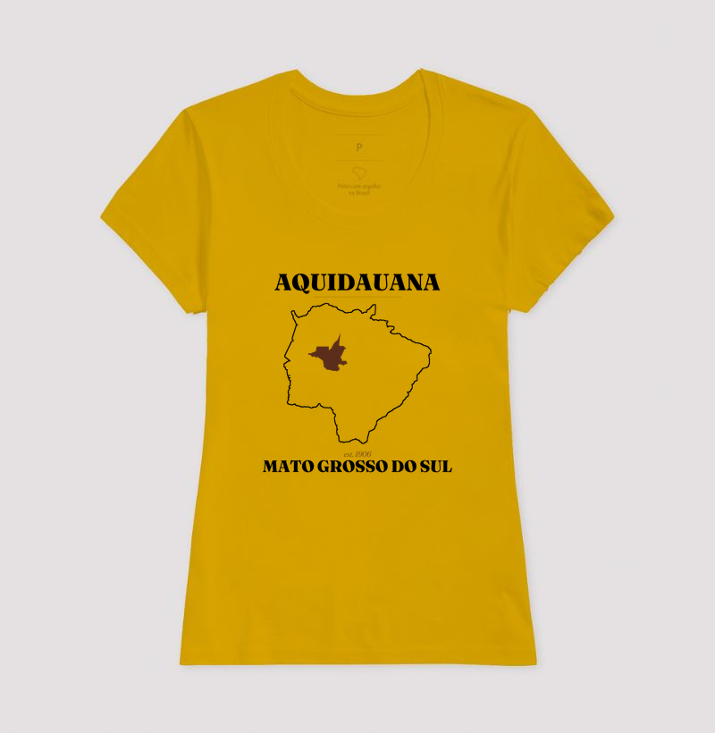 Aquidauana | Legado MS - Imagem 15