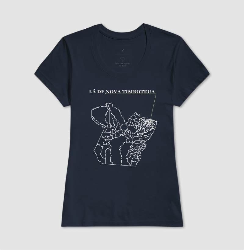 Nova Timboteua | Origem PA - Imagem 7