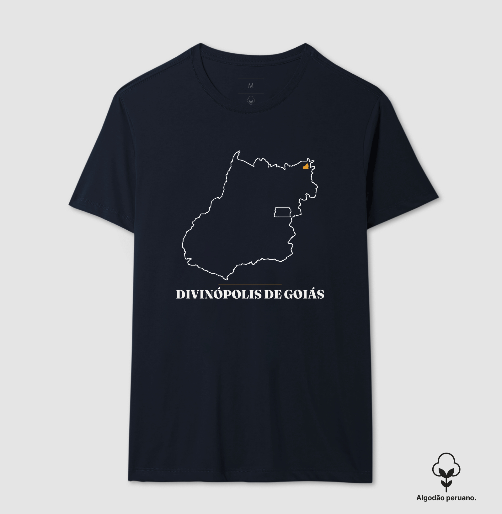 Divinópolis de Goiás | Traço GO - Imagem 9