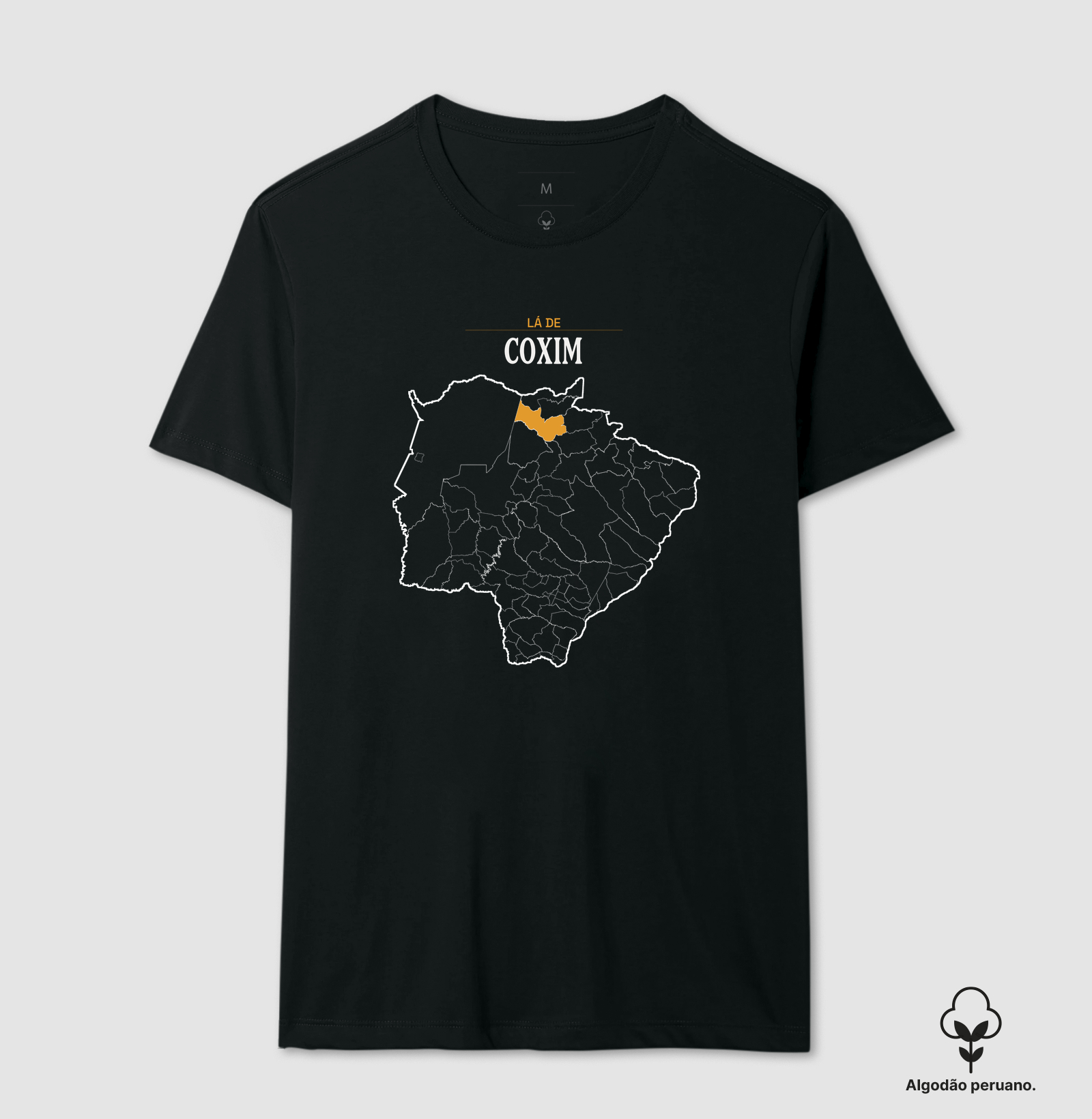 Coxim | Território MS - Imagem 4