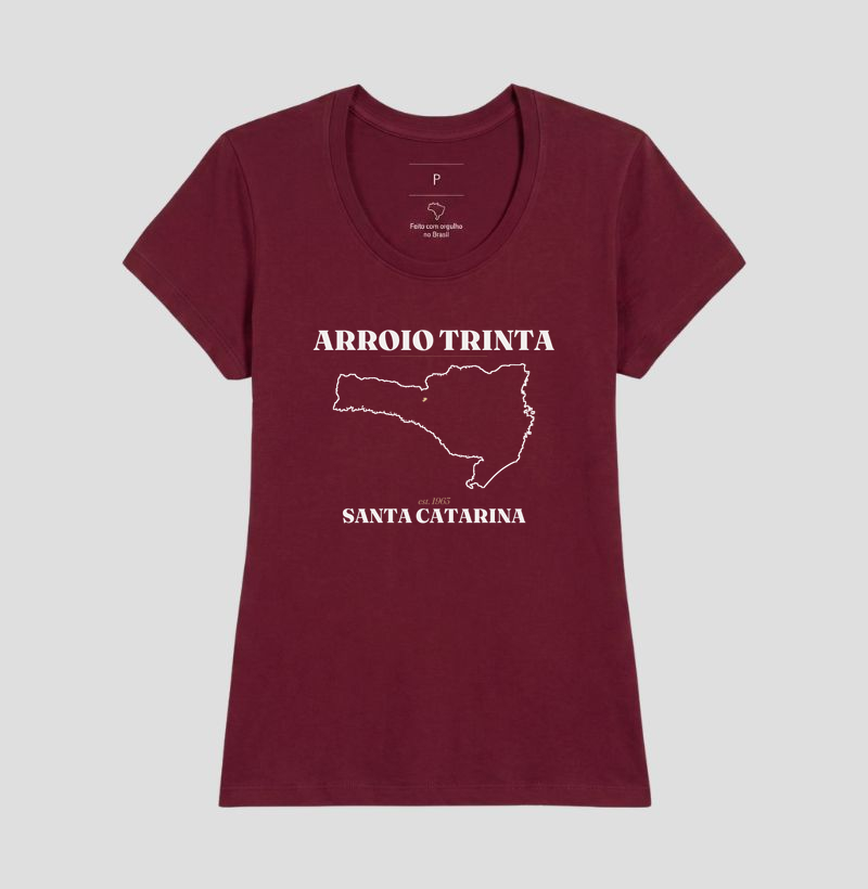 Arroio Trinta | Legado SC - Imagem 19
