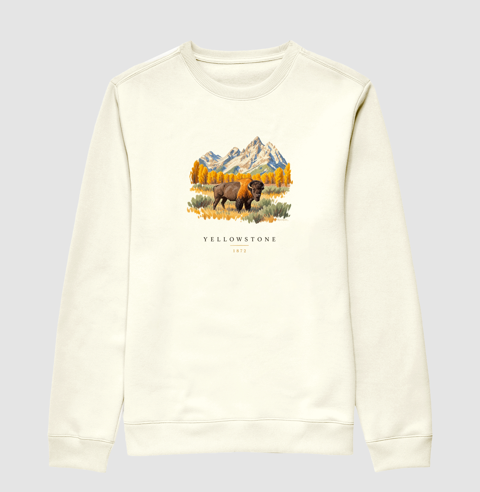 Bison - Yellowstone - Imagem 2