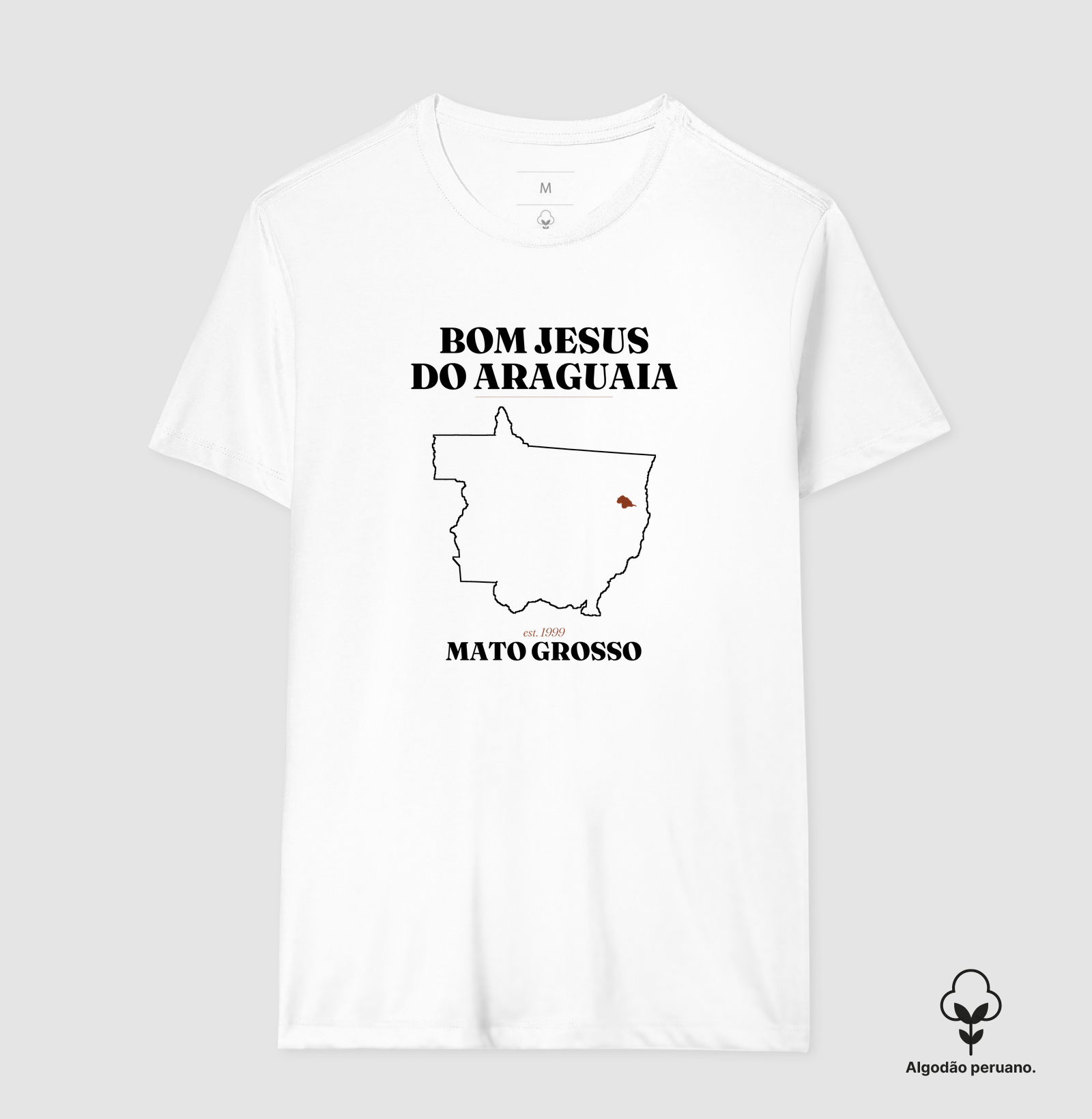 Bom Jesus do Araguaia | Legado MT - Imagem 5
