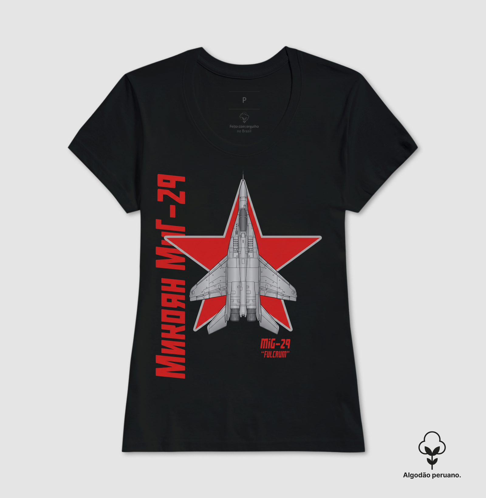 Mig29 Fulcrum - Imagem 5
