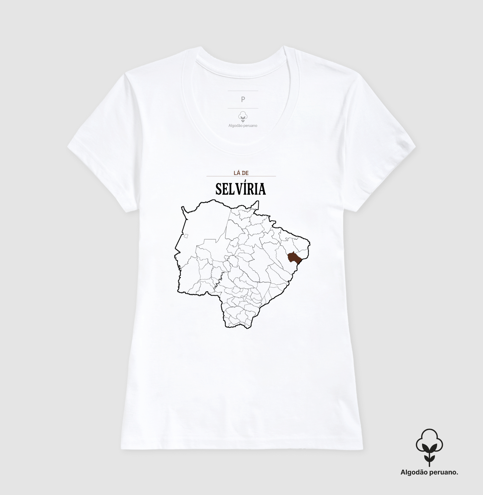 Selvíria | Território MS - Imagem 9