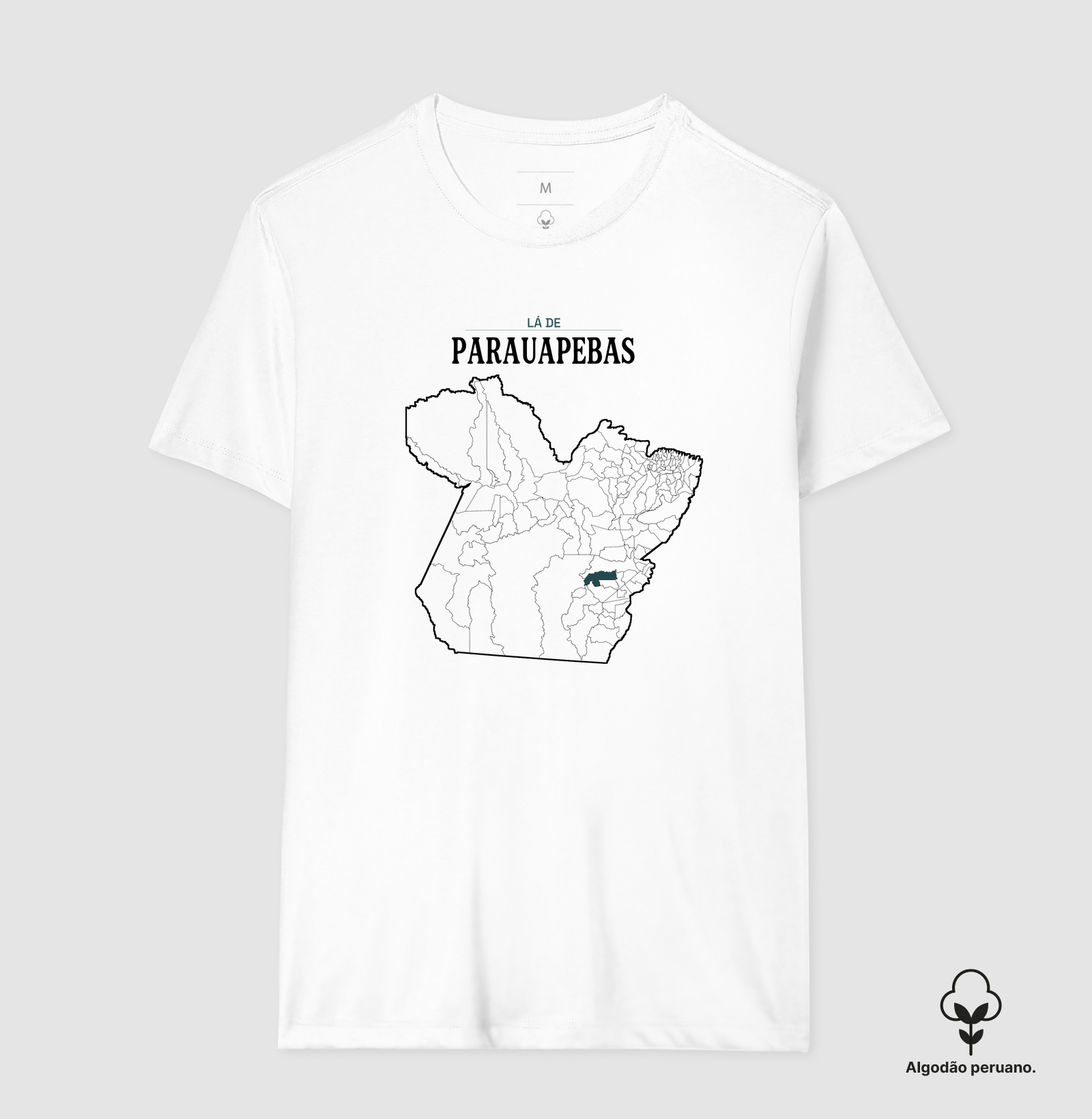 Parauapebas | Território PA - Imagem 7
