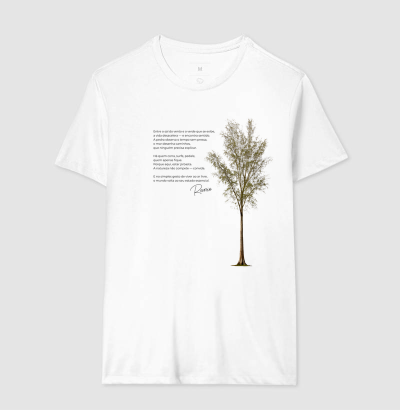 Casuarina - Imagem 4