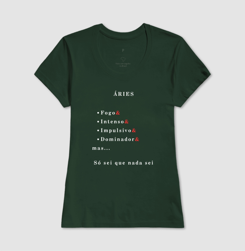Camisa 13