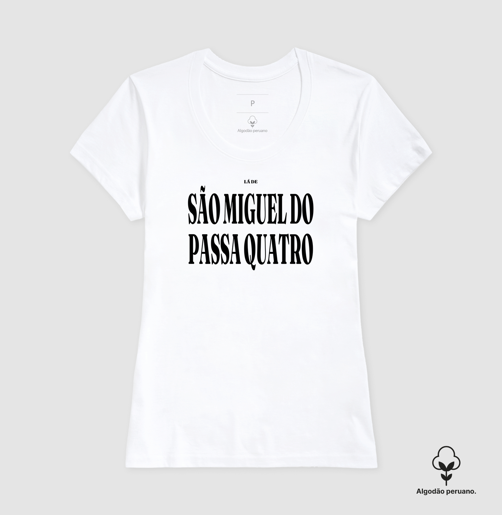 São Miguel do Passa Quatro | Tipografia GO - Imagem 7
