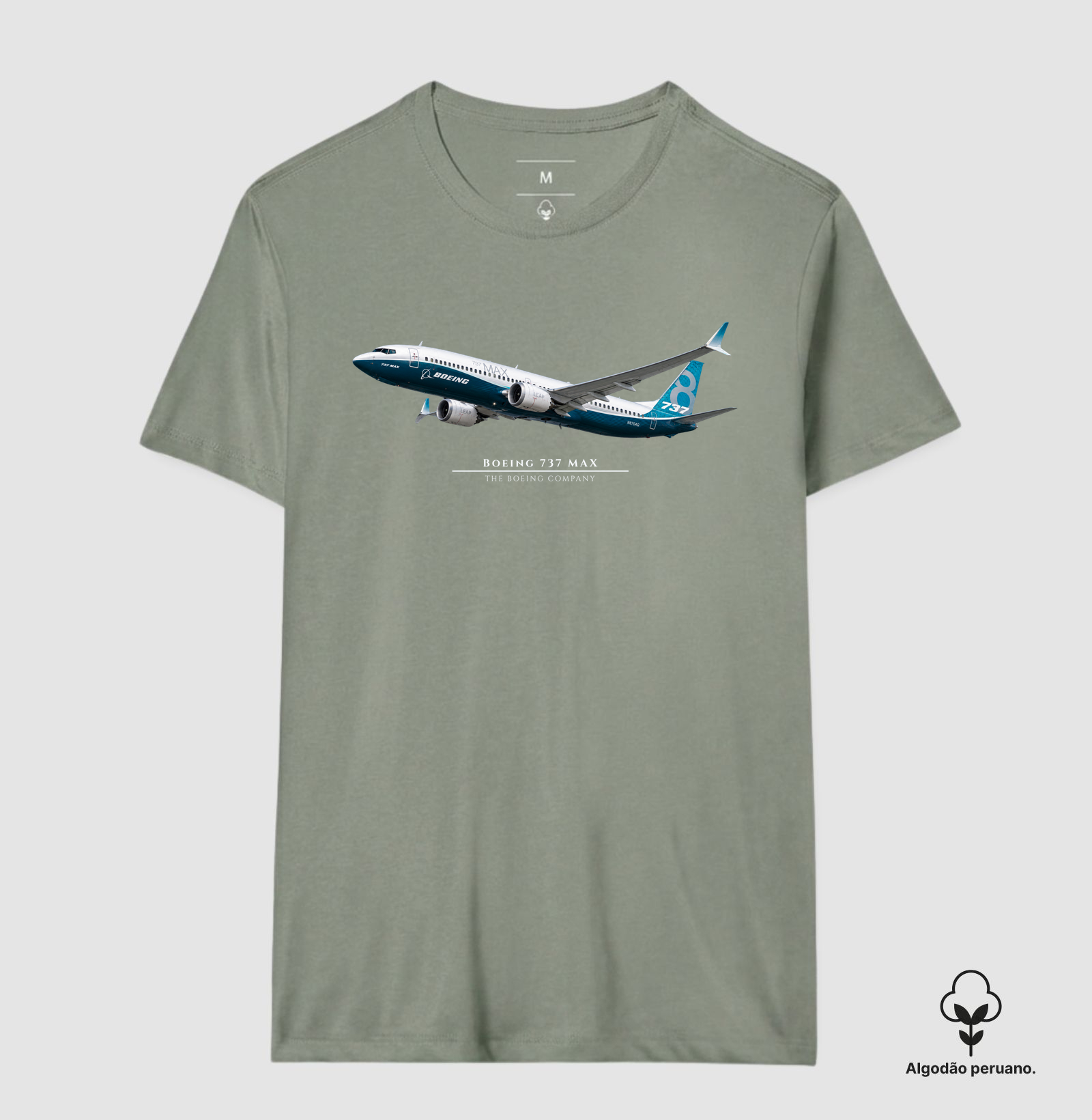Boeing 737 MAX - Imagem 9