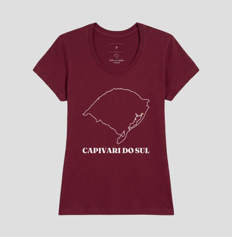 Capivari do Sul | Traço RS - Imagem 19