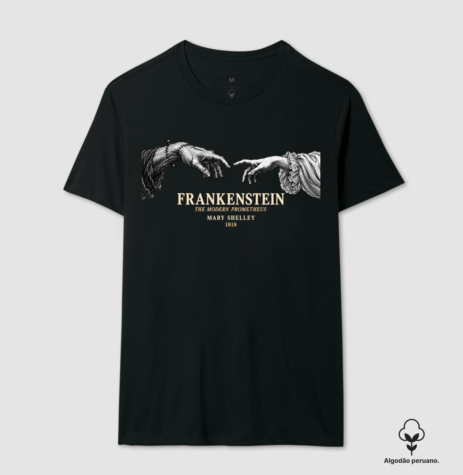 Frankestein: Criadora e Criatura - Imagem 2