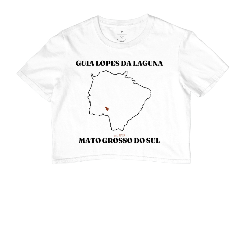 Guia Lopes da Laguna | Legado MS - Imagem 3