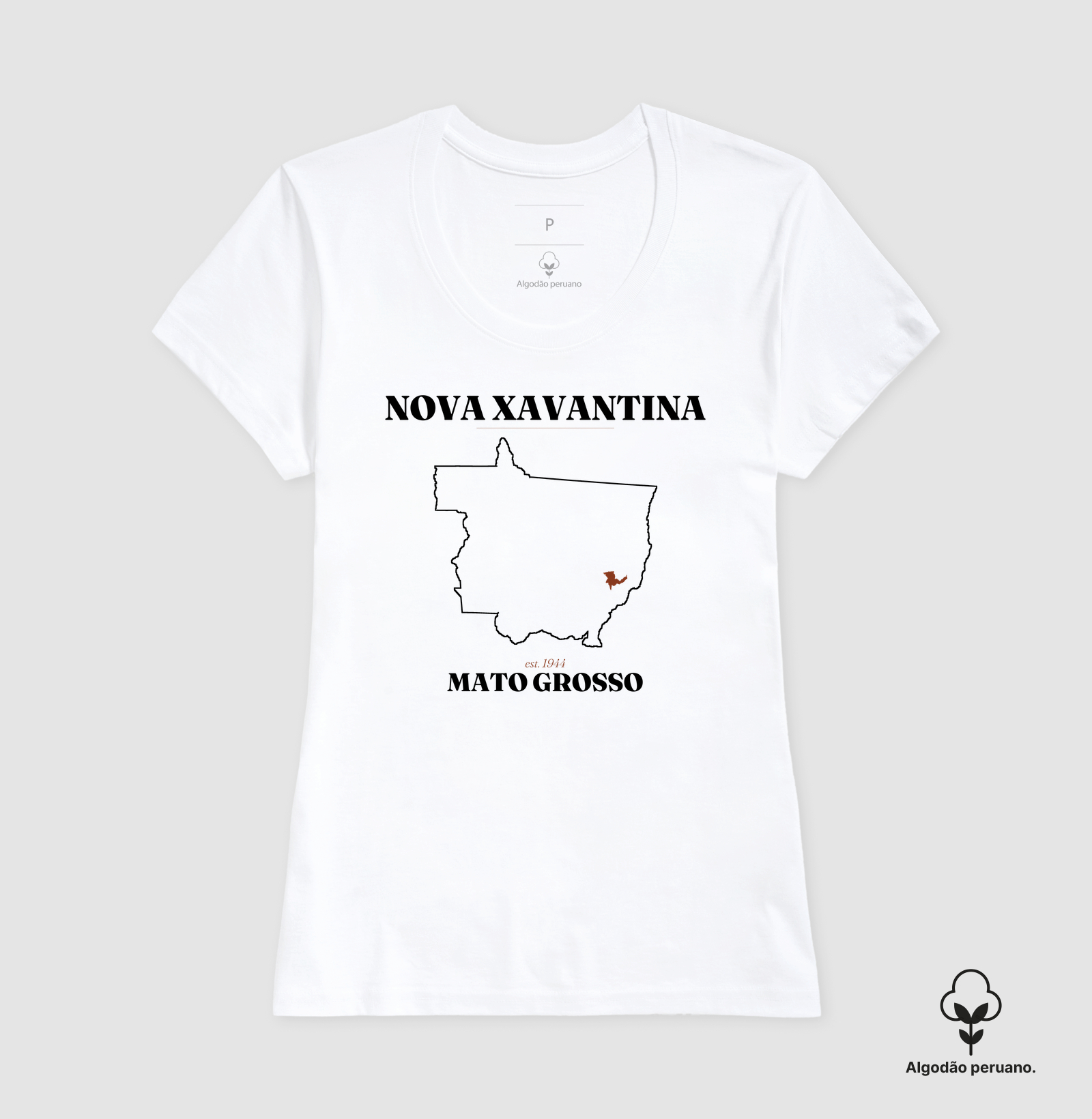 Nova Xavantina | Legado MT - Imagem 5