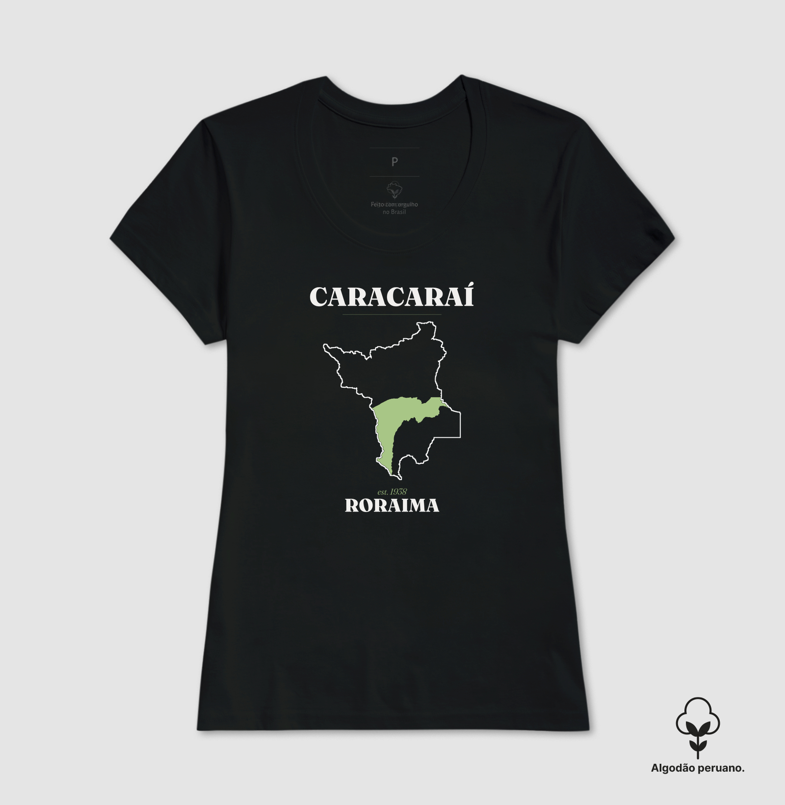 Caracaraí | Legado RR - Imagem 4