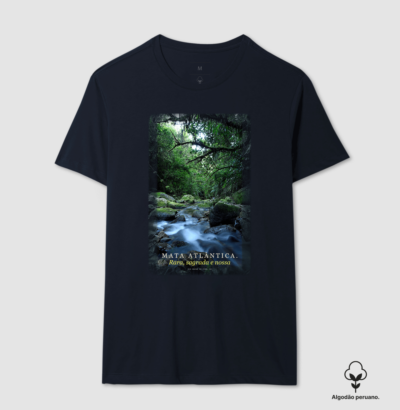 Mata Atlântica - Imagem 6