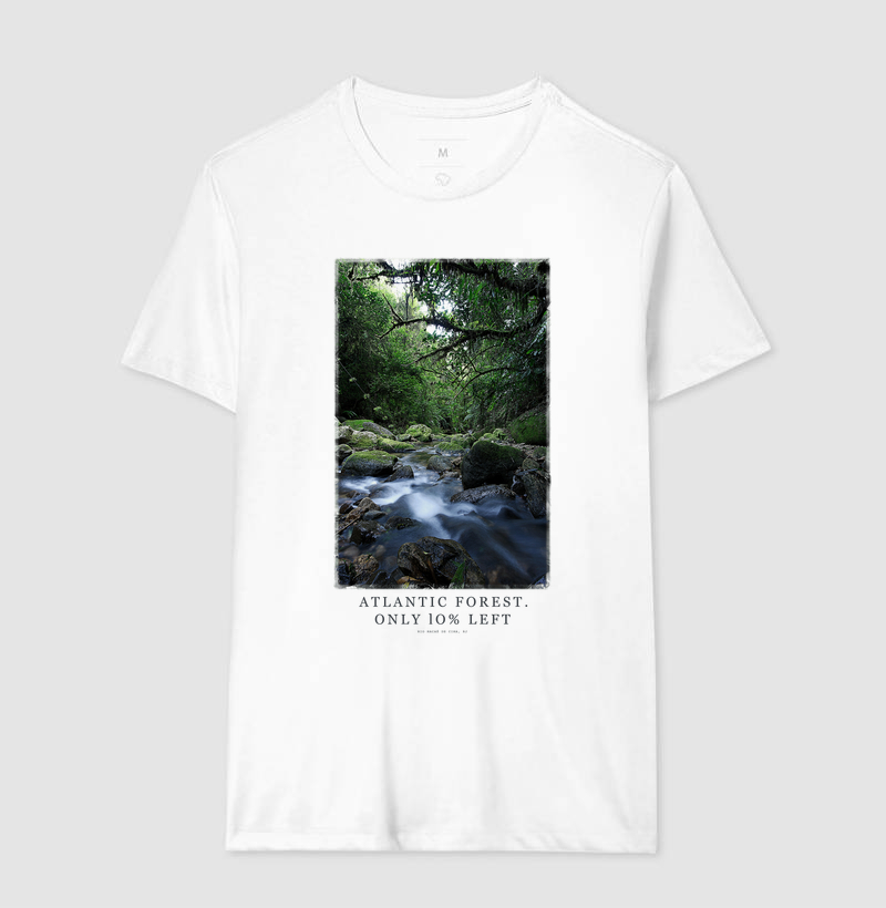 Atlantic Forest - Imagem 2