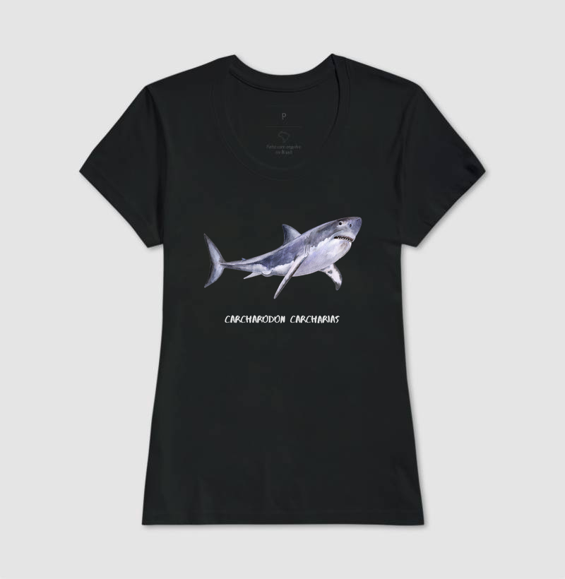Carcharodon carcharias - Imagem 5