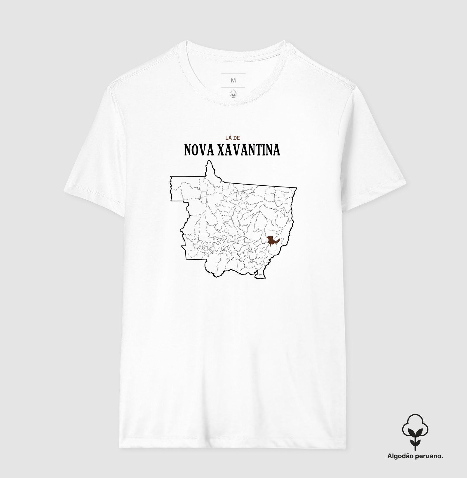 Nova Xavantina | Território MT - Imagem 7
