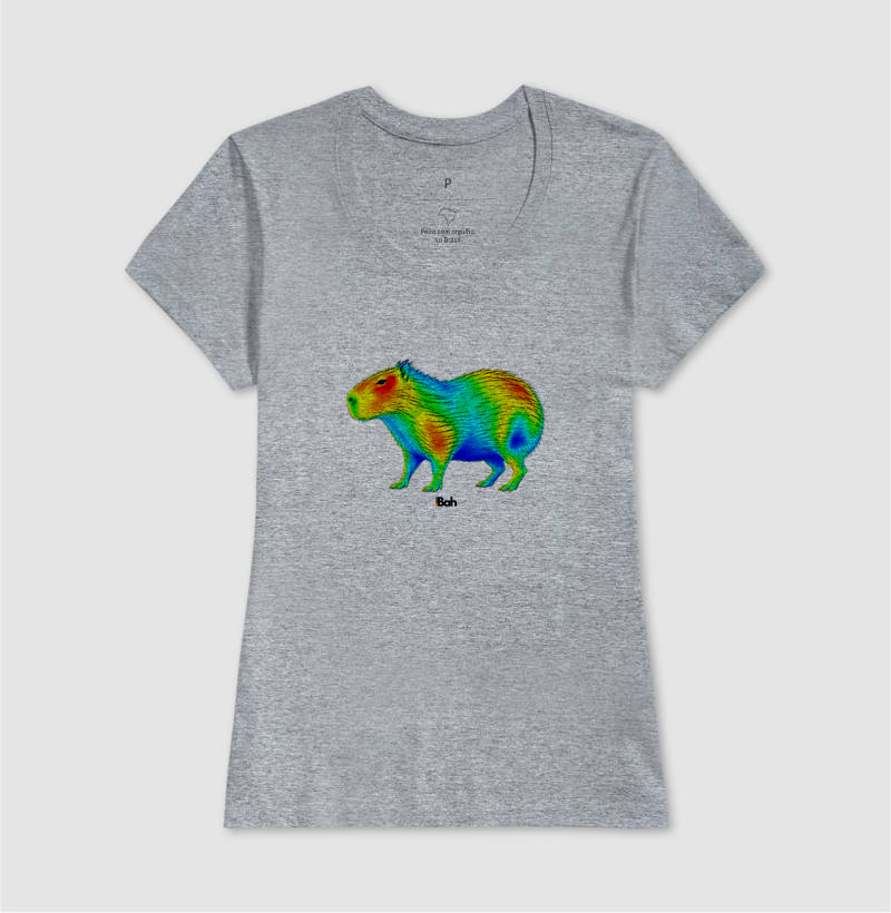 Aerodinâmica de uma Capivara - Imagem 9