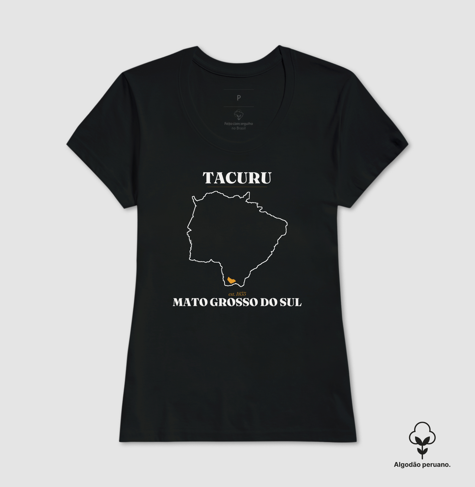 Tacuru | Legado MS - Imagem 5