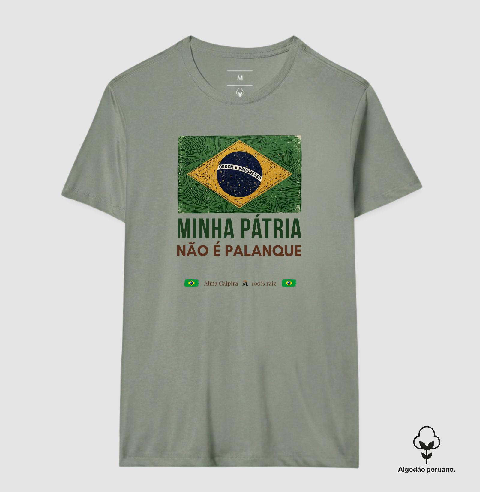 Minha Pátria não é palanque - Imagem 9