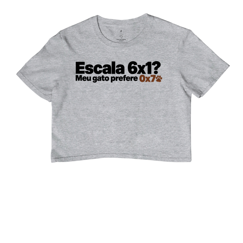 Gato Folgado - Imagem 6
