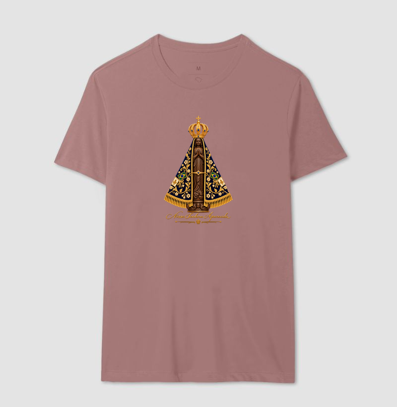 Nossa Senhora Aparecida Original - Escrita da Princesa Isabel  - Imagem 16