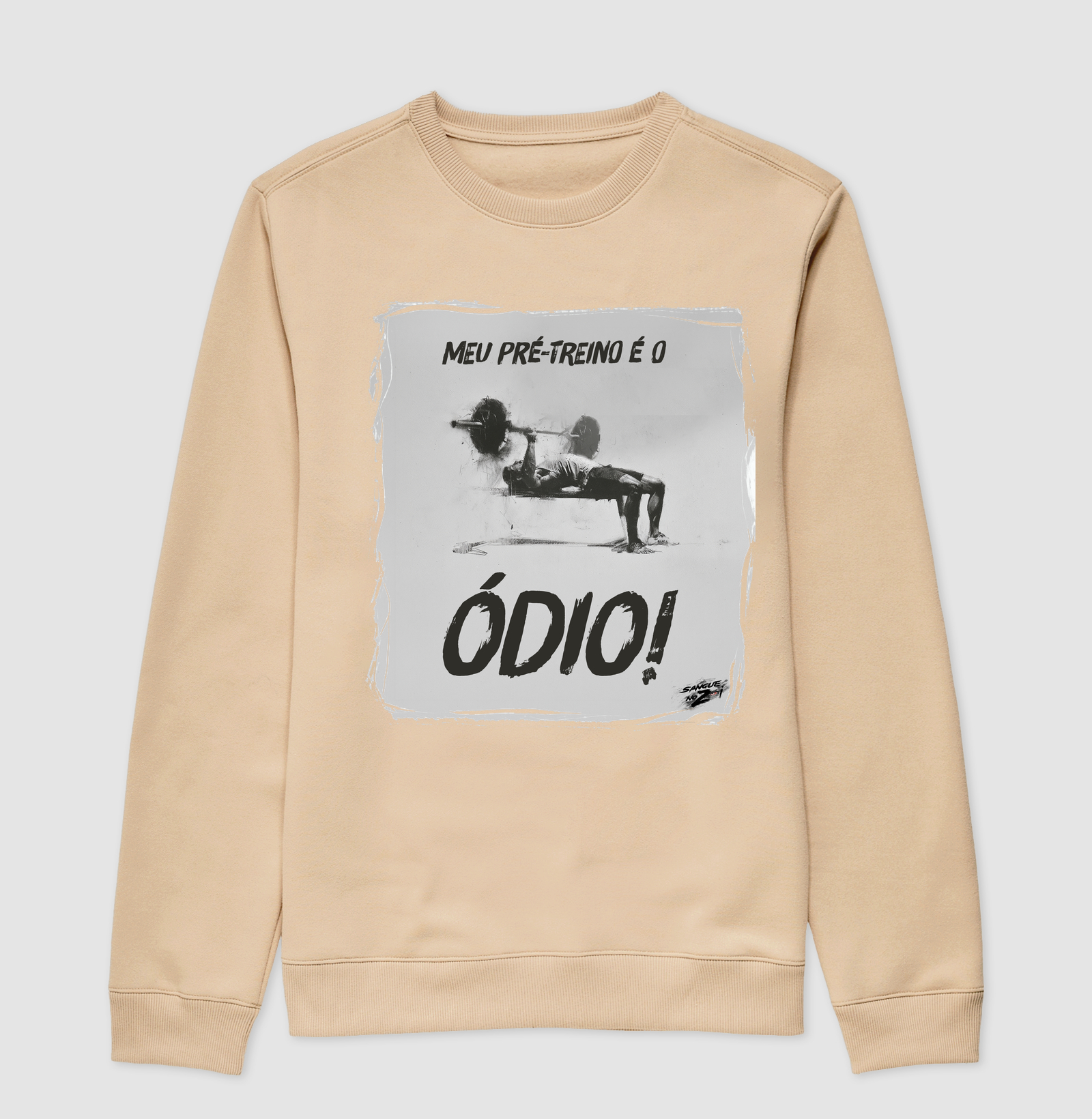 Meu pré-treino é o ódio! - Imagem 3