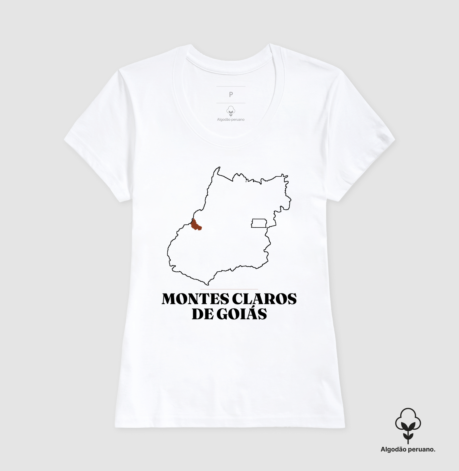 Montes Claros de Goiás | Traço GO - Imagem 5