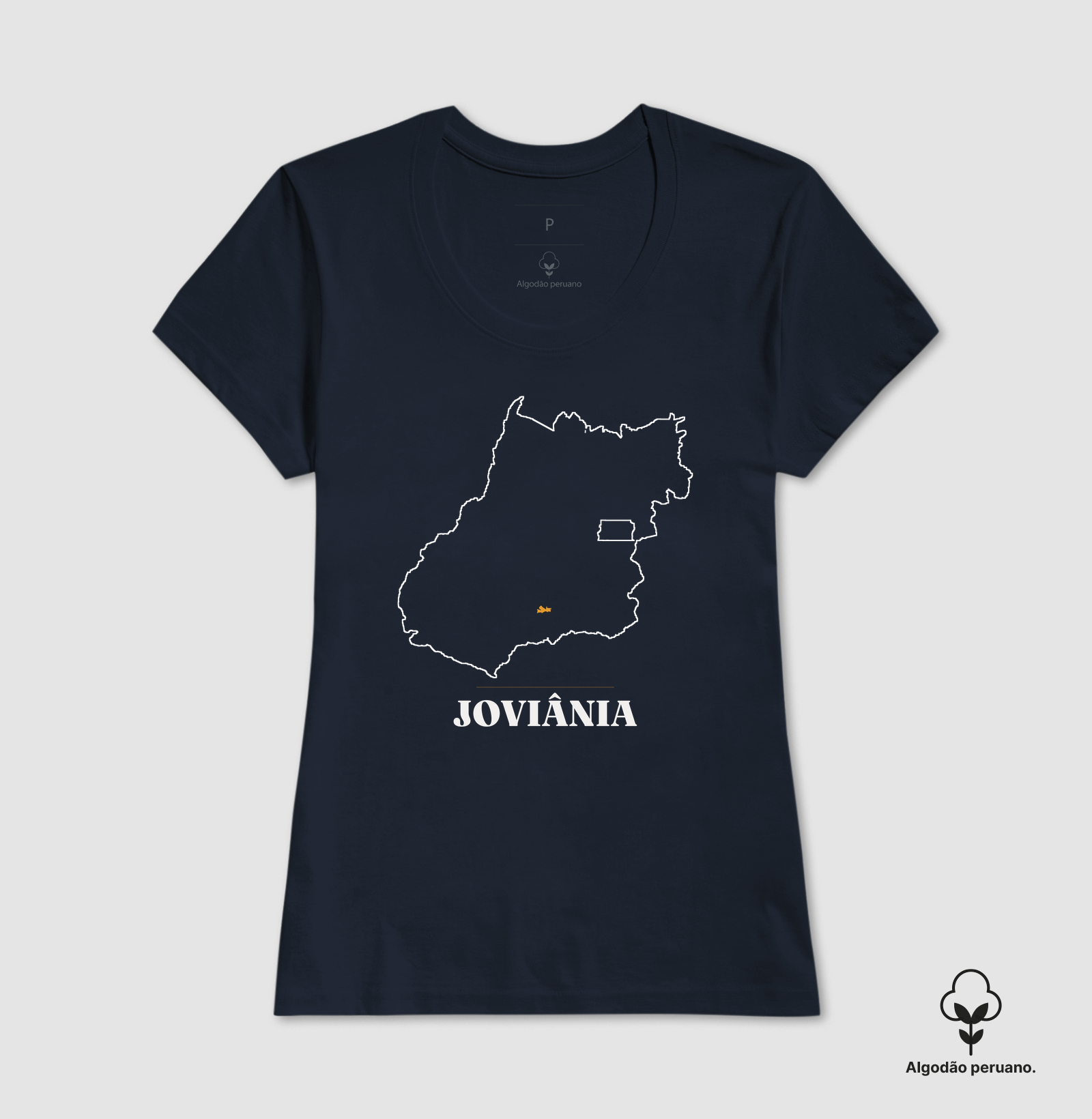Joviânia | Traço GO - Imagem 8