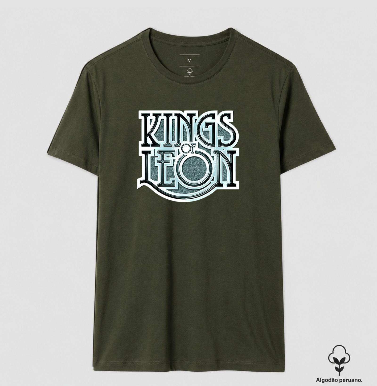 Kings Of Leon - Imagem 8
