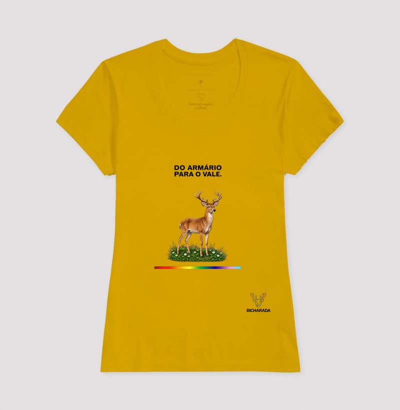 Do armário para o vale - Imagem 15