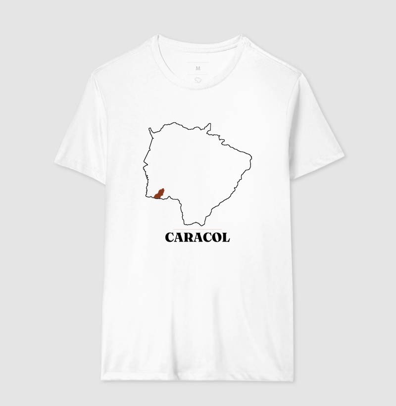 Caracol | Traço MS - Imagem 4
