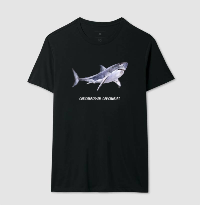 Carcharodon carcharias - Imagem 4