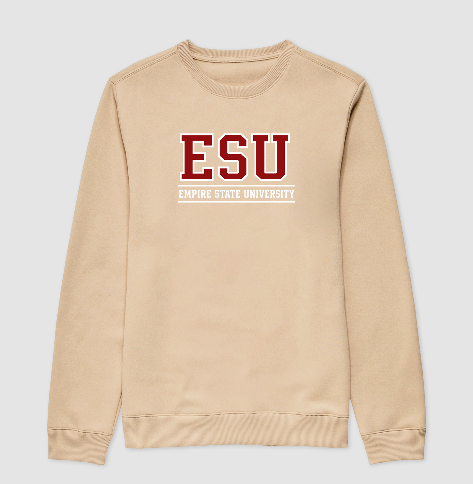 Empire State University - Imagem 2