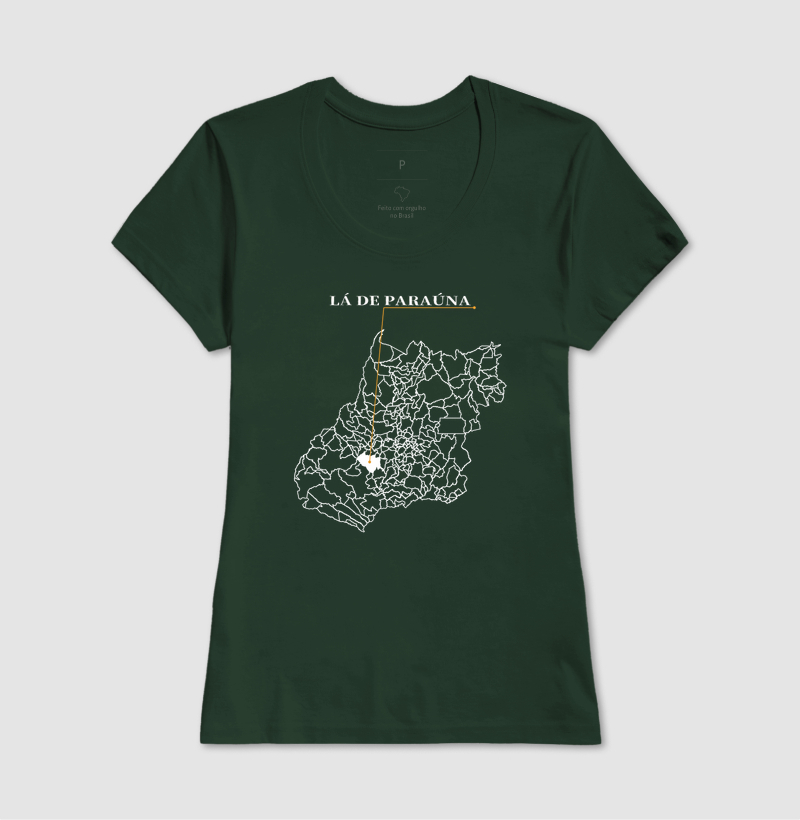 Paraúna | Origem GO - Imagem 13