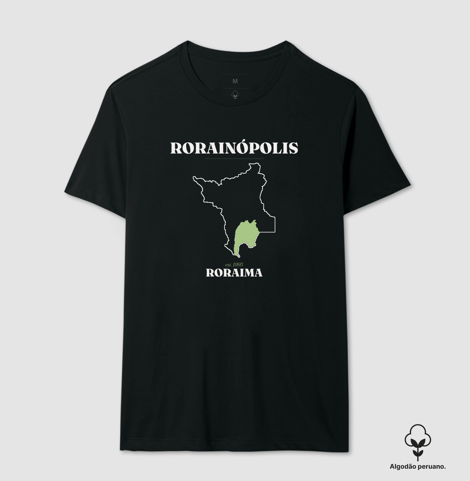 Rorainópolis | Legado RR - Imagem 2