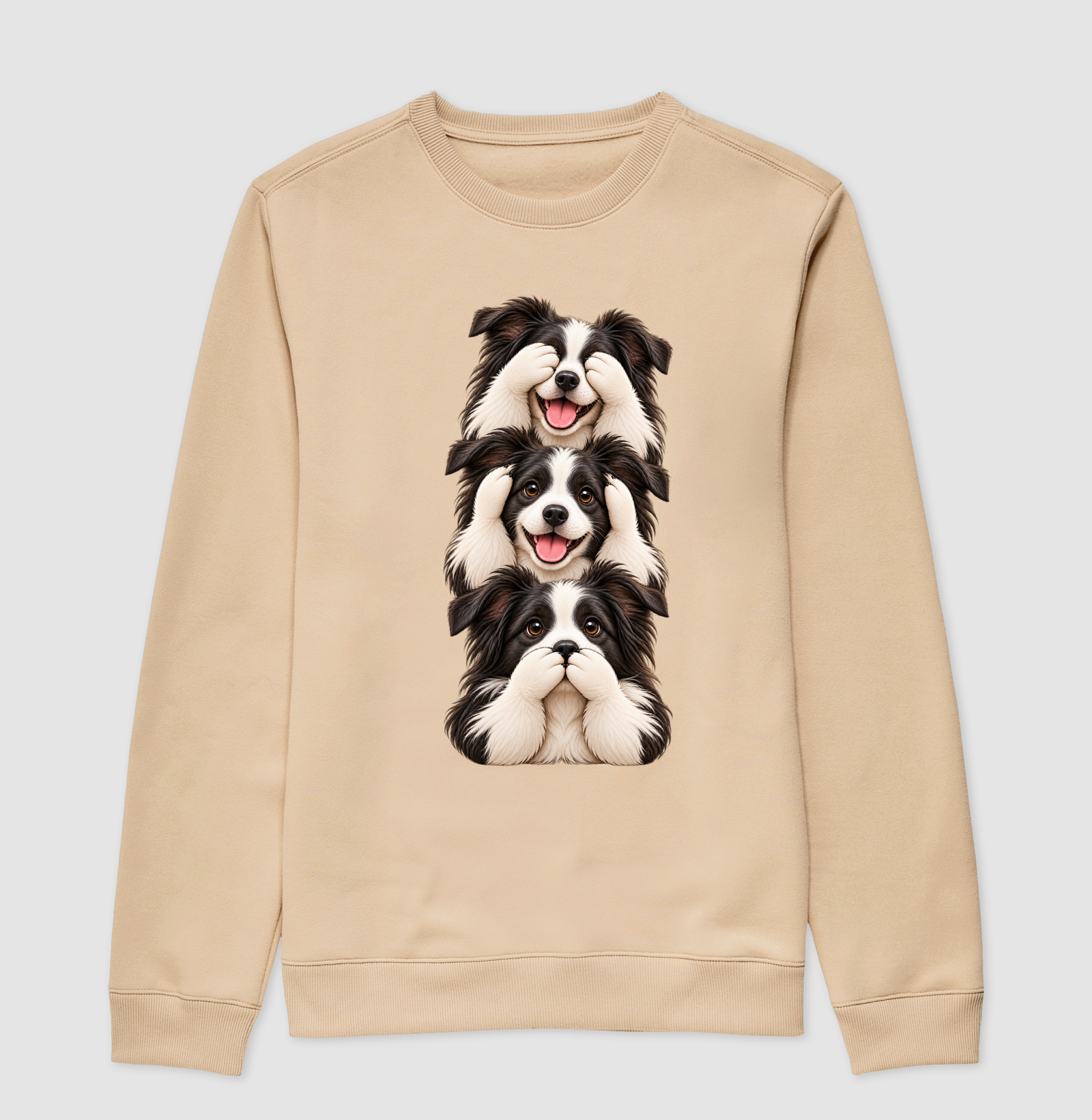 Ver, ouvir e falar Border Collie - Imagem 3