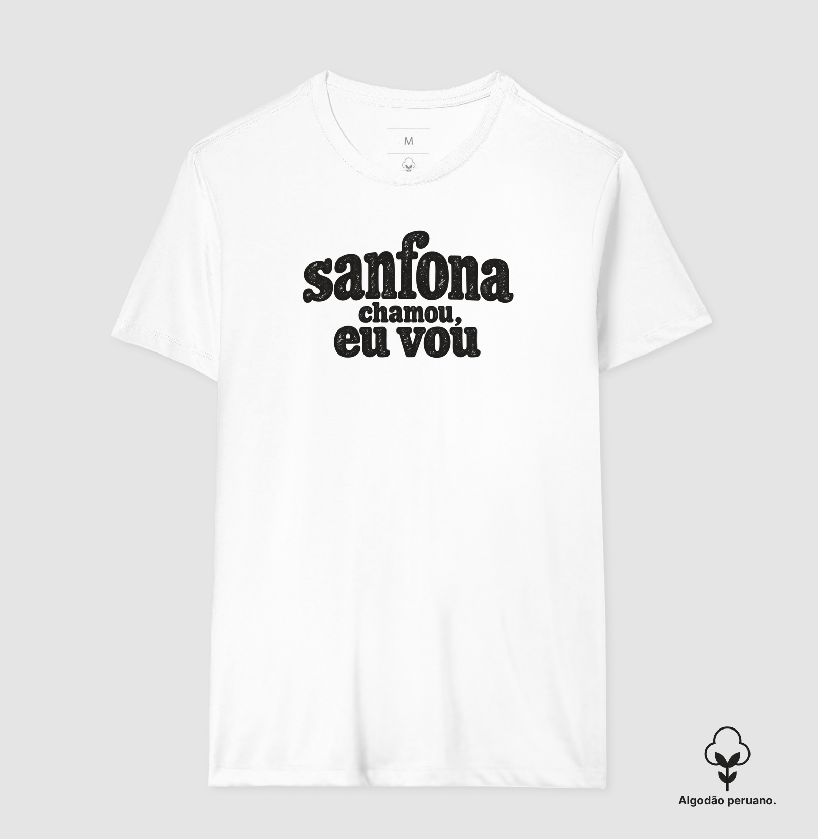Sanfona chamou, eu vou - Imagem 4