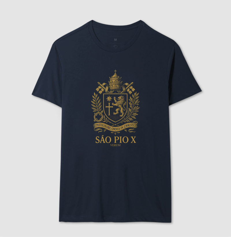 SÃO PIO X - Imagem 4
