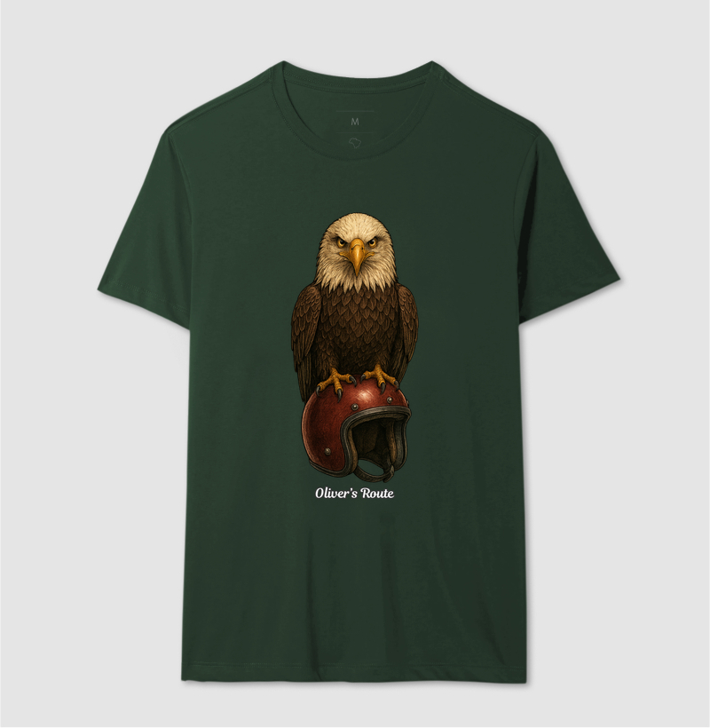 The Eagle and the Helmet - Imagem 12