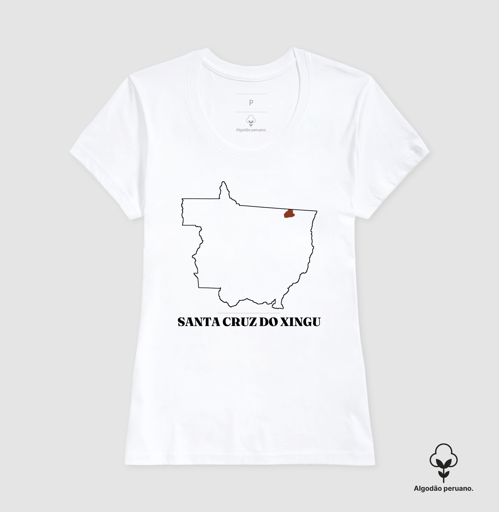 Santa Cruz do Xingu | Traço MT - Imagem 4